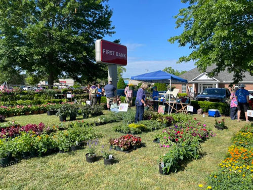 mothers day plant sale 2022